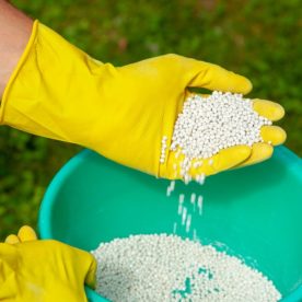 someone wearing gloves holding a bucket full of plant food.