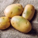 Four green potatoes on a potato sack.