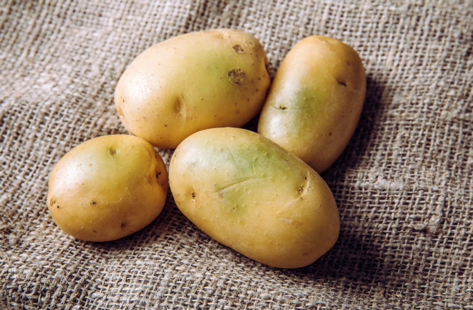 Green Potatoes Potato Sprouts Missouri Poison Center