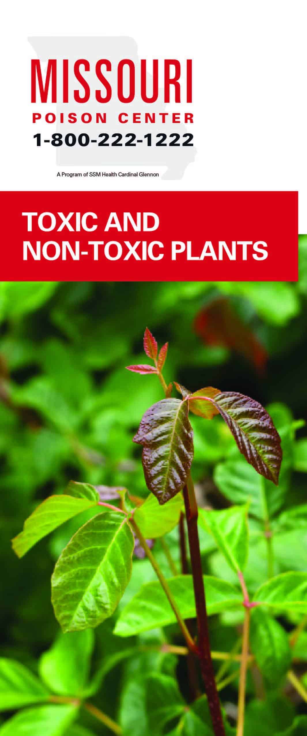 Toxic And Nontoxic Plants Missouri Poison Center
