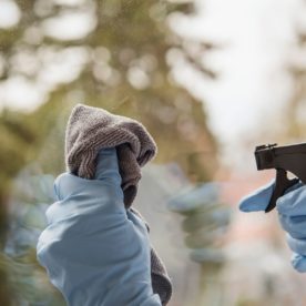 Someone with cleaning gloves holds a bottle of ammonia window cleaner besides a reusable towel against a window.