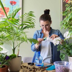 woman feeding plant with cut flower food.