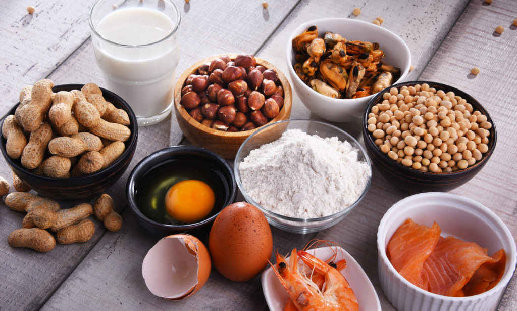 An assortment of bowls full of common food allergies such as fish, peanuts, gluten, and eggs.