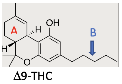Chemical structure diagram of Delta-9-THC with ring A and side chain B labeled