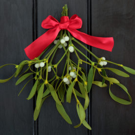 Mistletoe hanging on a door with a red ribbon.