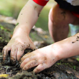 A little boy digging in the dirt with his hands.