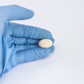 A doctor with gloves holds a boric acid suppository in their hand.