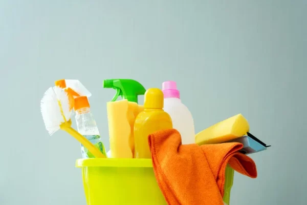 A bucket full of disinfectant cleaners, brushes, and cloths.