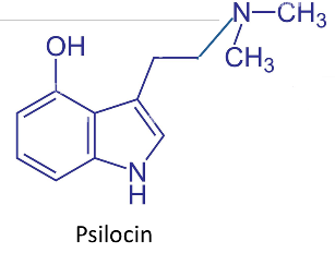 Chemical structure of psilocin, showing an indole ring system with a hydroxyl group (OH) at position 4 and a dimethylaminoethyl side chain (–CH₂CH₂N(CH₃)₂).